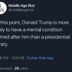 political-memes political text: Middle Age Riot @middleageriot At this point, Donald Trump is more likely to have a mental condition named after him than a presidential library. 6:08 PM • 11/21/19 • Twitter Web App 26 Likes 9 Retweets  political