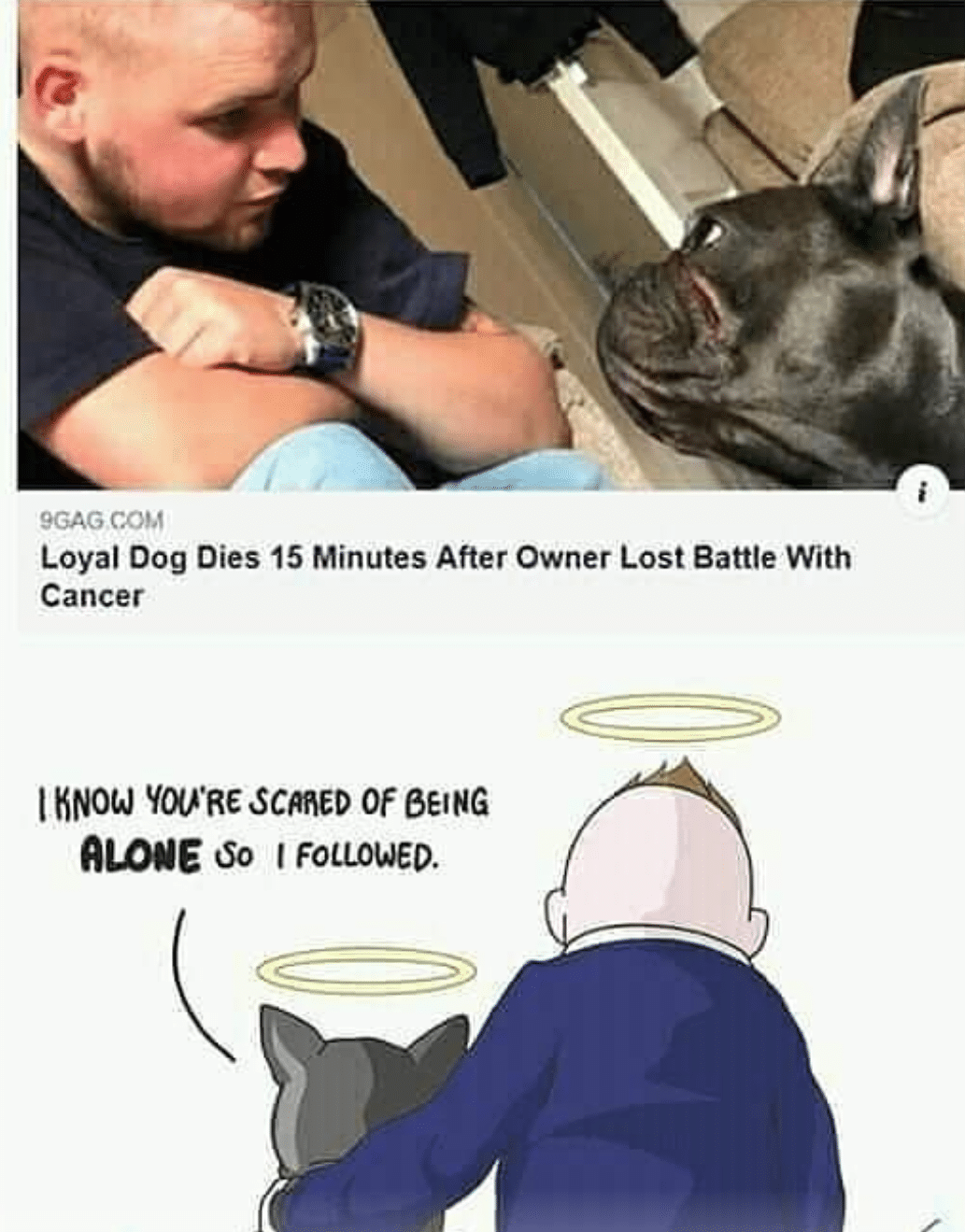 cute wholesome-memes cute text: 9GAG COM Loyal Dog Dies 15 Minutes After Owner Lost Battle With Cancer I SCAhED Of BEING ALONE 'So I FOLLOWED. 