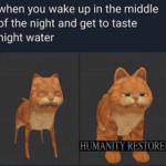 water-memes water text: when you wake up in the middle of the night and get to taste night water HUMANITY RESTORED  water