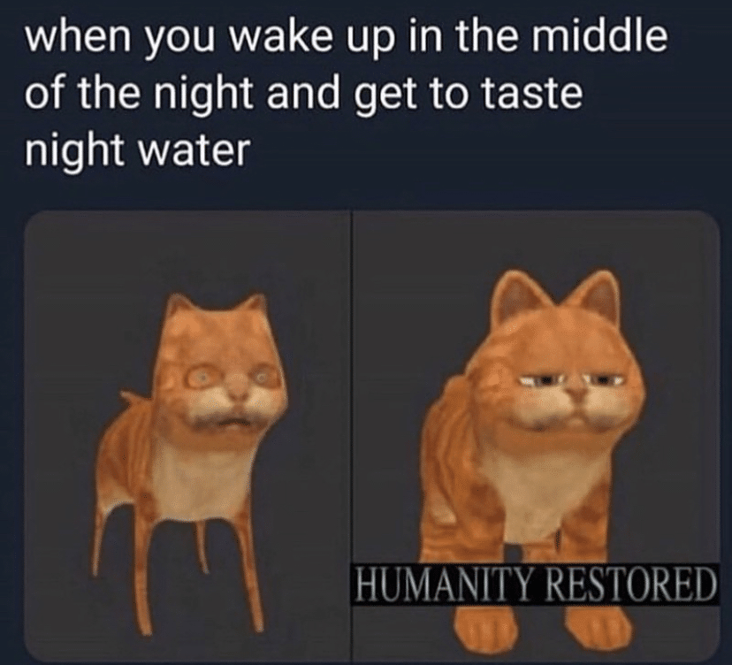 water water-memes water text: when you wake up in the middle of the night and get to taste night water HUMANITY RESTORED 