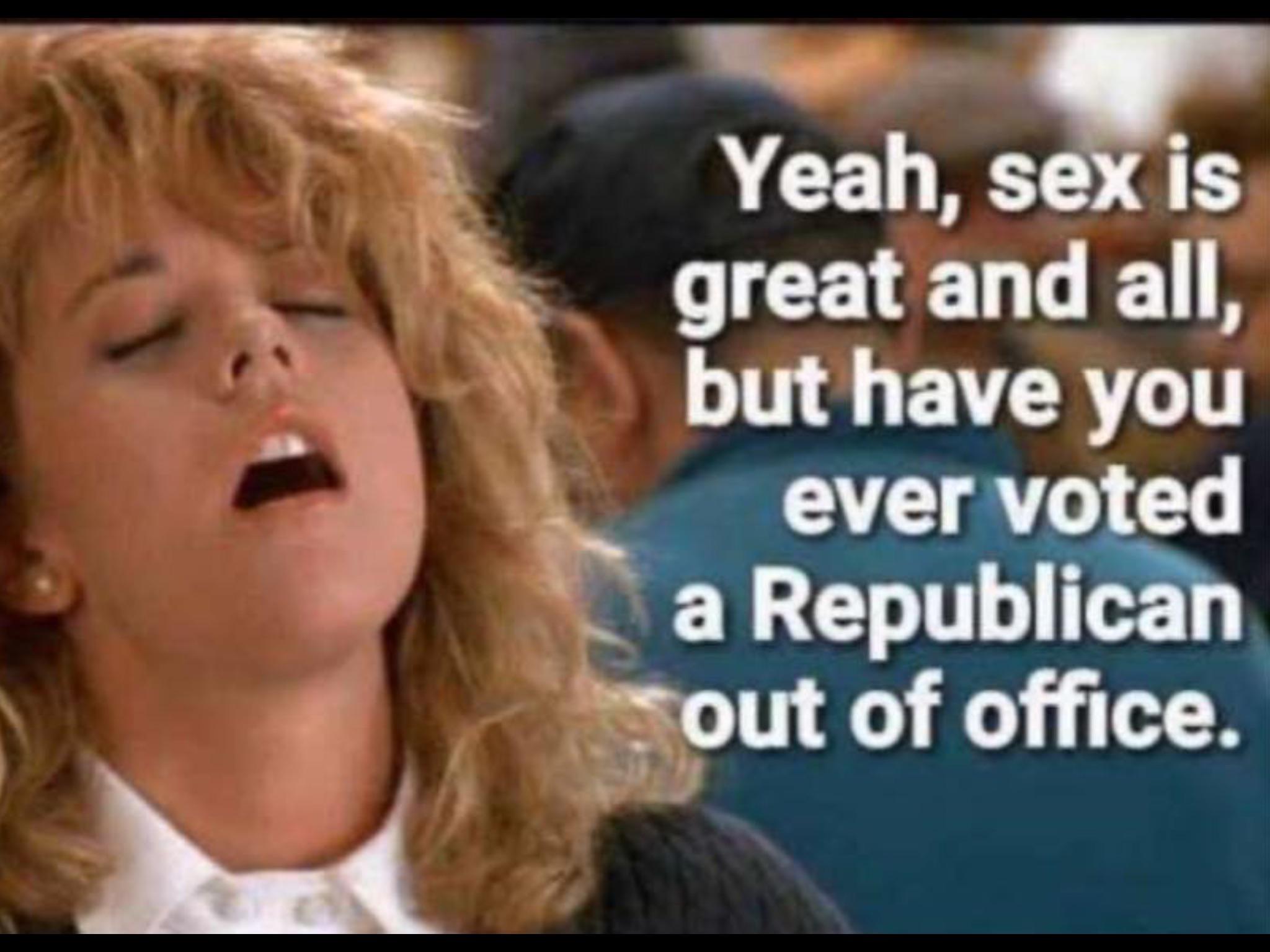political political-memes political text: Yeah, seiis great and all, but have you ever voted a Republican eout of office. 