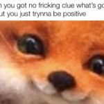 wholesome-memes cute text: when you got no fricking clue what