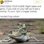 wholesome-memes cute text: Ash Warner @AlsBoy CROCODILE TOUR GUIDE: Right ladies and gents, if you look on your left you