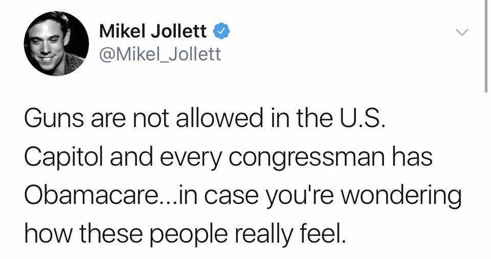 political political-memes political text: Mikel Jollett @Mikel_Jollett Guns are not allowed in the U.S. Capitol and every congressman has Obamacare...in case you're wondering how these people really feel. 