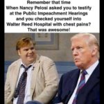 political-memes political text: Remember that time When Nancy Pelosi asked you to testify at the Public Impeachment Hearings and you checked yourself into Walter Reed Hospital with chest pains? That was awesome!  political