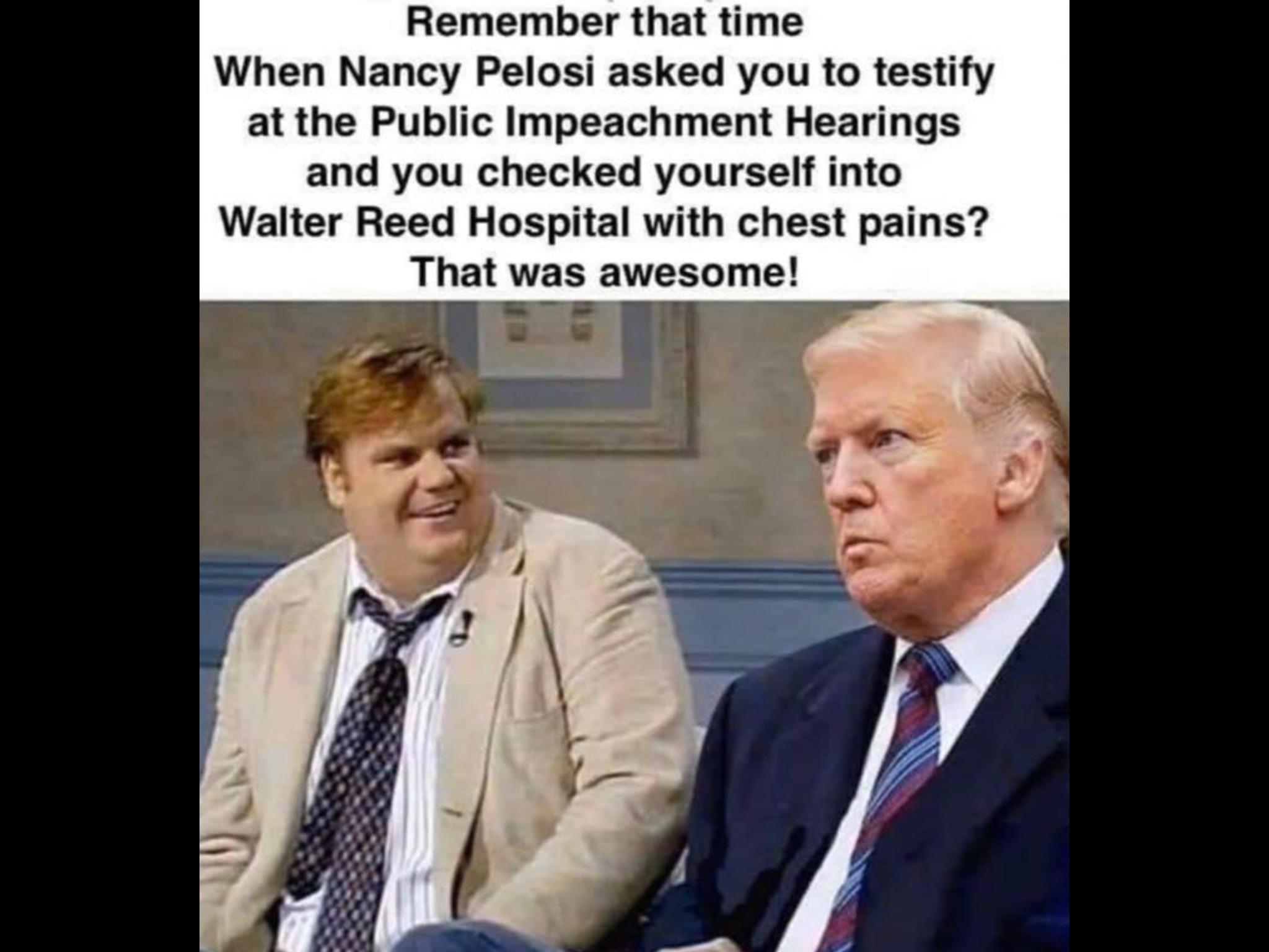 political political-memes political text: Remember that time When Nancy Pelosi asked you to testify at the Public Impeachment Hearings and you checked yourself into Walter Reed Hospital with chest pains? That was awesome! 