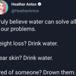 water-memes water text: \ Heather Antos @HeatherAntos I truly believe water can solve all of our problems. Weight loss? Drink water. Clear skin? Drink water. Tired of someone? Drown them.  water