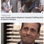 wholesome-memes cute text: THE-DAD.COM Irwin Family Opens Elephant Hospital Fulfilling One of Steve