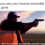 dank-memes cute text: When you see your favorite subreddit but its icon is gone Who the fuck are you, identify yourself nigga  Dank Meme