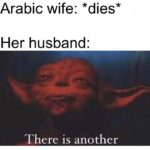 dank-memes cute text: Arabic wife: *dies* Her husband: There is another  Dank Meme
