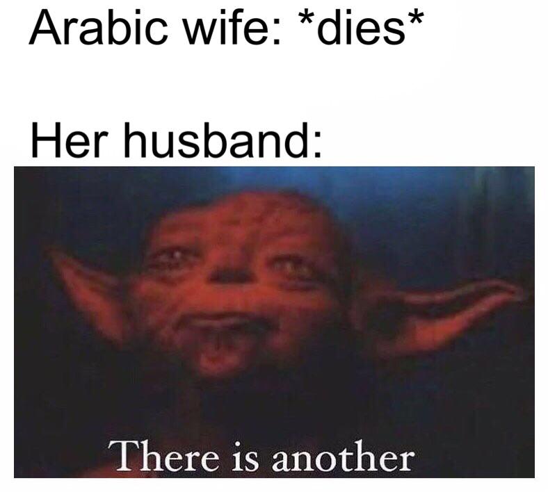 Dank Meme dank-memes cute text: Arabic wife: *dies* Her husband: There is another 