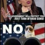 boomer-memes political text: THE GOVERNMENT WILL PROTECT YOU JUST TURN GUNS! NO exat  political