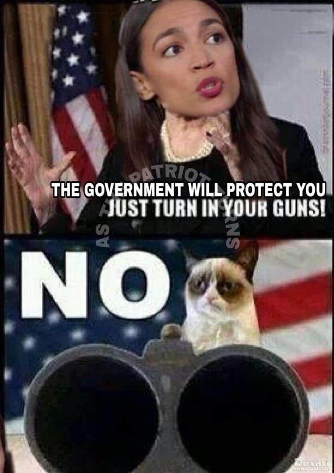 political boomer-memes political text: THE GOVERNMENT WILL PROTECT YOU JUST TURN GUNS! NO exat 