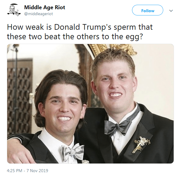 political political-memes political text: Middle Age Riot Follow @middleageriot How weak is Donald Trump's sperm that these two beat the others to the egg? 4:25 PM - 7 Nov 2019 