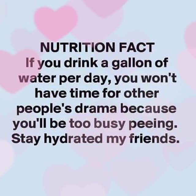 water water-memes water text: NUTRITION FACT If you drink a gallon of water per day, you won't have time for other people's drama because you'll be too busy peeing. Stay hydrated my friends. 