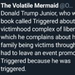 political-memes political text: The Volatile Mermaid Donald Trump Junior, who wrote a book called Triggered about the victimhood complex of liberals in which he complains about his family being victims throughout, had to leave an event promoting Triggered because he was triggered.  political