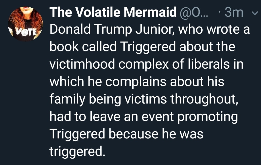 political political-memes political text: The Volatile Mermaid Donald Trump Junior, who wrote a book called Triggered about the victimhood complex of liberals in which he complains about his family being victims throughout, had to leave an event promoting Triggered because he was triggered. 