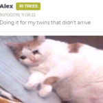 wholesome-memes cute text: Alex 10 TREES 30,50/2019, Doing it for my twins that didn