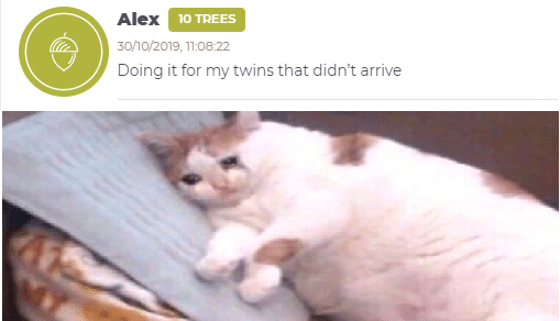 cute wholesome-memes cute text: Alex 10 TREES 30,50/2019, Doing it for my twins that didn't arrive 