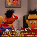 wholesome-memes cute text: ——Do you like me, Bert? -DÄiike 