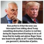 political-memes political text: How perfect is it that the news was interrupted from talking about Trump committing obstruction of justice in real time during his impeachment hearings to let us all know that his buddy and advisor Roger Stone was found to be guilty on all 7 counts including, you guessed it, obstruction of justice.  political