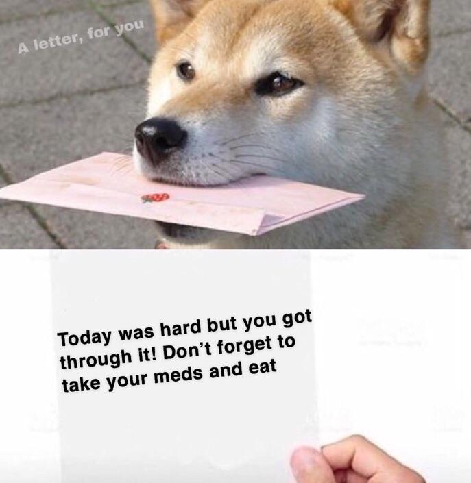 cute wholesome-memes cute text: A letter, for you Today was hard but you got through it! Don't forget to take your meds and eat 