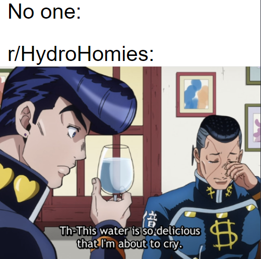 water water-memes water text: No one: r/HydroHomies: Th-This that l'@about'to cry. 