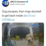 history-memes history text: ABC13 Houston e 