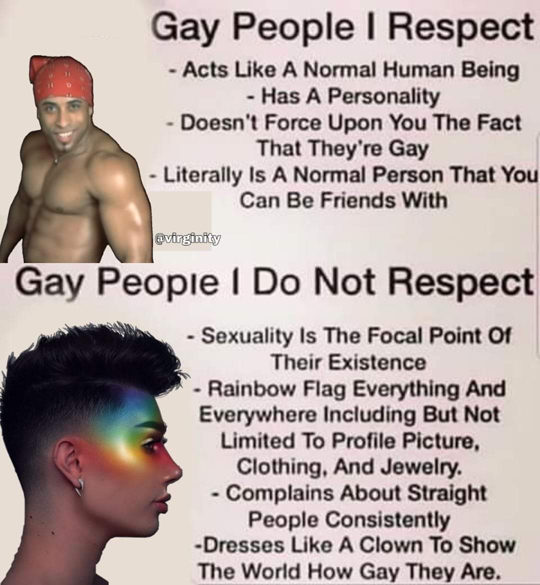 political boomer-memes political text: Gay People I Respect - Acts Like A Normal Human Being - Has A Personality - Doesn't Force Upon You The Fact That They're Gay - Literally Is A Normal Person That You Can Be Friends With @virginity Gay People I Do Not Respect - Sexuality Is The Focal Point Of Their Existence - Rainbow Flag Everything And Everywhere Including But Not Limited To Profile Picture, Clothing. And Jewelry. - Complains About Straight People Consistently -Dresses Like A Clown To Show The World How Gay They Are. 