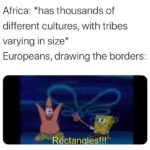 history-memes history text: Africa: *has thousands of different cultures, with tribes varying in size* Europeans, drawing the borders:  history