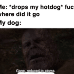avengers-memes thanos text: Me: *drops my hotdog* fuck where did it go My dog: abms.  thanos