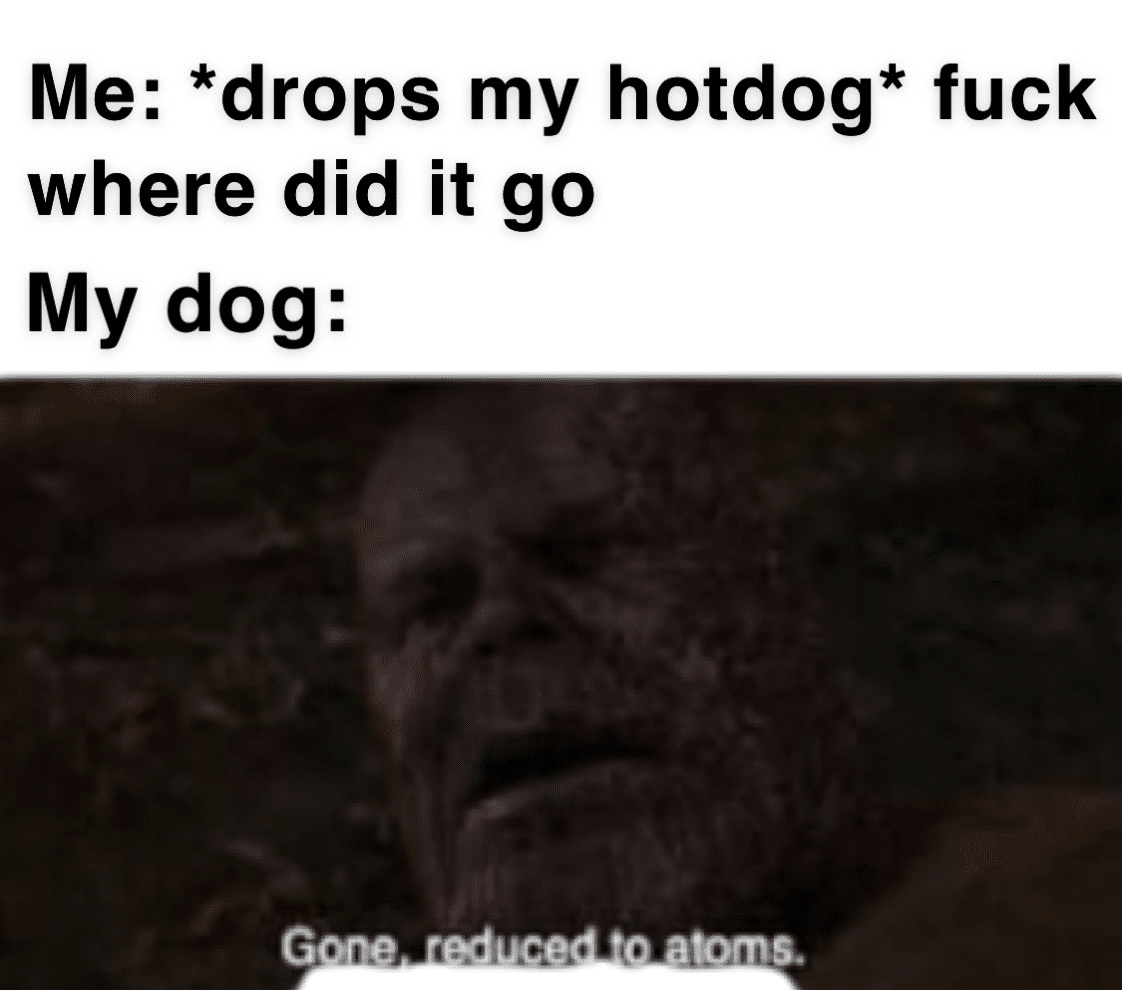 thanos avengers-memes thanos text: Me: *drops my hotdog* fuck where did it go My dog: abms. 