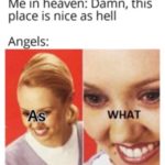 christian-memes christian text: Me in heaven: Damn, this place is nice as hell Angels:  christian