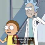 Morty "You son of a bitch. Im in" Rick and Morty meme template blank  Rick and Morty, Agreement, Going, Pointing