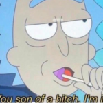 You son of a bitch, Im in Rick and Morty meme template blank  Rick and Morty, Sucking, Lollipop, Food, Agreement