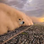 Doge Sandstorm Animal meme template blank  Animal, Doge, Dog, Sand, Storm, Weather, Society, Neighborhood