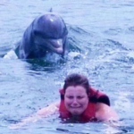 Dolphin Chasing Woman Vs meme template blank  Vs, Chasing, Animal, Woman, Woman, Dolphin