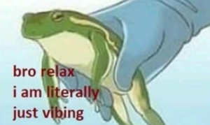 Bro relax I am literally just vibing frog Ally meme template
