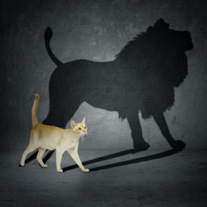 Cat with Lion Shadow  Subterfuge meme template