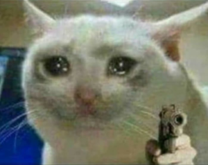 Sad cat pointing gun Threaten meme template