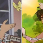 Is this a pigeon and is this a butterfly Anime meme template blank  Anime, Two, Both, Boy, Girl, Stupid, Dumb, Opinion, Animal, Butterfly, Pigeon