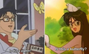 Is this a pigeon and is this a butterfly Dumb meme template