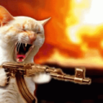 Cat with AK-47 Guns meme template blank  Guns, Animal, Cat, AK-47, Shooting, Explosion