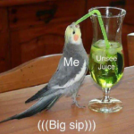 Bird drinking unsee juice Animal meme template blank  Animal, Bird, Reaction, Drinking, Juice, Sipping, Food, Cockatiel