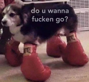 do u wanna fucken go dog Boxing meme template