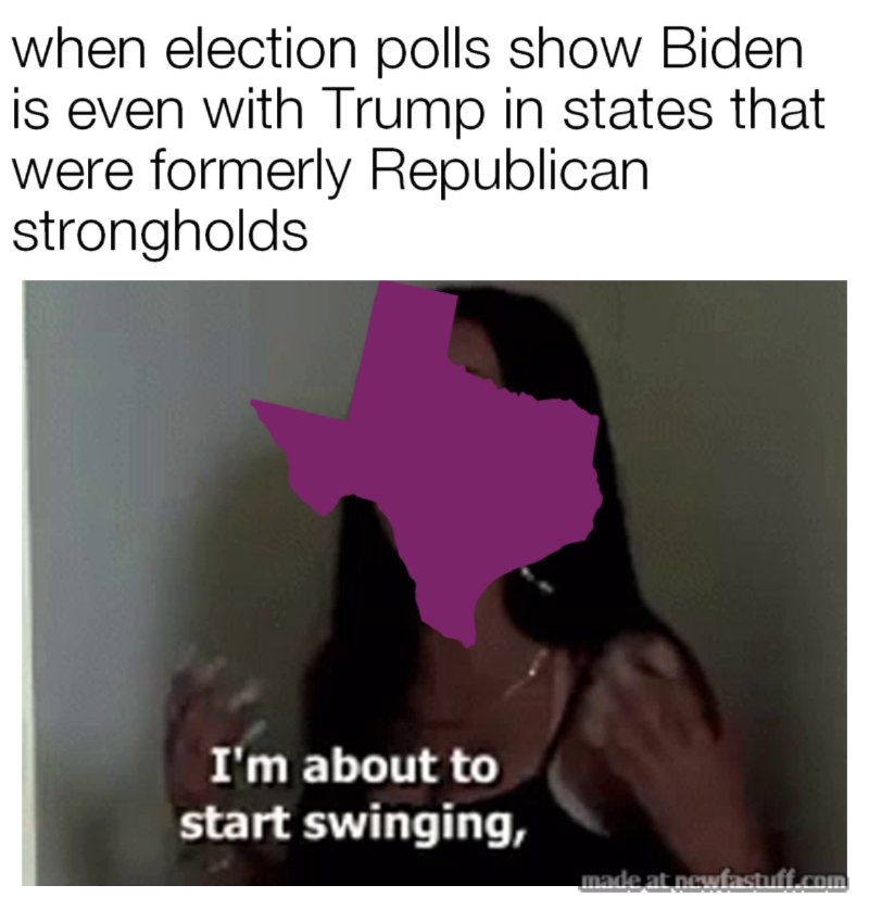 2020-election political-memes 2020-election text: when election polls show Biden is even with Trump in states that were formerly Republican strongholds I'm about to start swinging, 