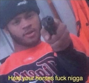 Hold your horses fuck n*gga Stopping meme template
