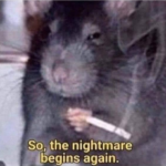 Rat 'So the nightmare begins again' Reaction meme template blank  Reaction, Animal, Rat, Mouse, Holding, Cigarette