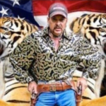 Joe Exotic with tigers and American flag Tiger King meme template blank  Tiger King, Joe Exotic, Tiger, Animal, America, United States, Flag, Political, Guns