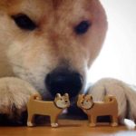 Doge playing with 2 liggle dogs  meme template blank Liggle, Playing